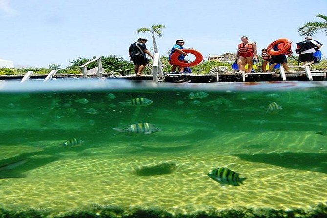 Mayan Adventure from Playa del Carmen - Should you book Mayan Adventure from the Cancun area?