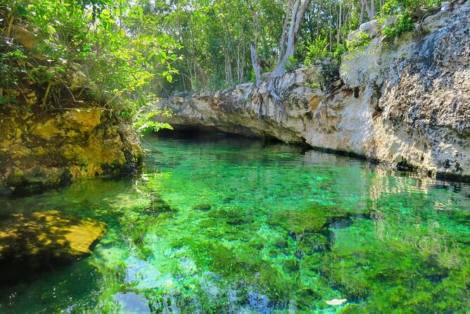 Mayan Cenotes Experience with Mayan Ruins or Local Community - Cenote Caracol: Water Time, Snorkeling Gear, and Cave-Style Options