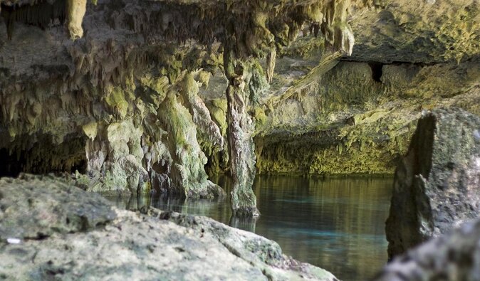 Mayan Ceremonial Night: Temazcal, Cenote Swim and Dinner from Playa del Carmen - Key things I’d clock before you go