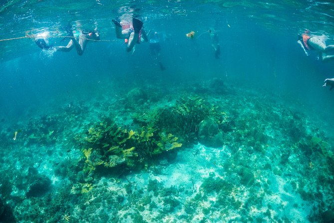 Mujeres Island Tour by Catamaran from Cancun City - Onboard Open Bar: Fun on the Ride, Not Just a Side Bonus