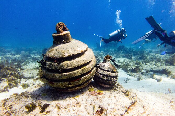MUSA Museum and Colorful Reef 2 Tank Dive-Certified Divers - MUSA Underwater Museum at 9m/30ft, where art becomes habitat