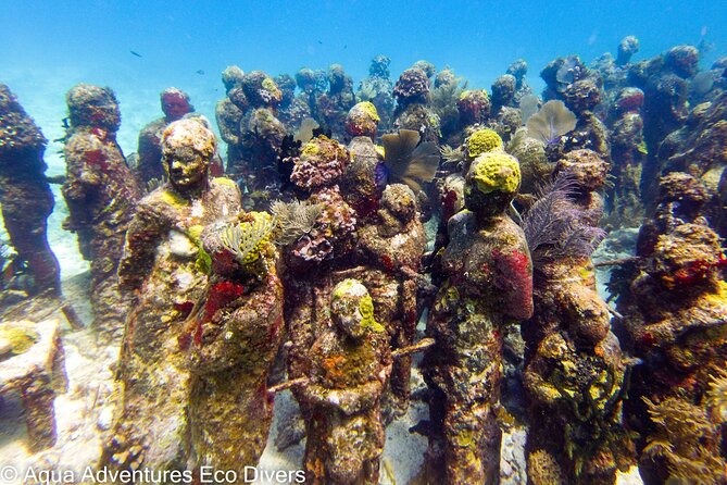 MUSA Museum and Colorful Reef 2 Tank Dive-Certified Divers - Price and value: what you get for $100, and what you may still need