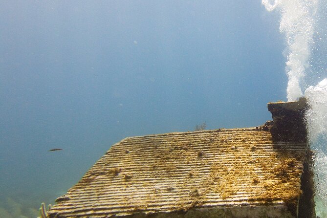 MUSA Museum and Colorful Reef 2 Tank Dive-Certified Divers - Getting the most out of two tanks at MUSA and Manchones
