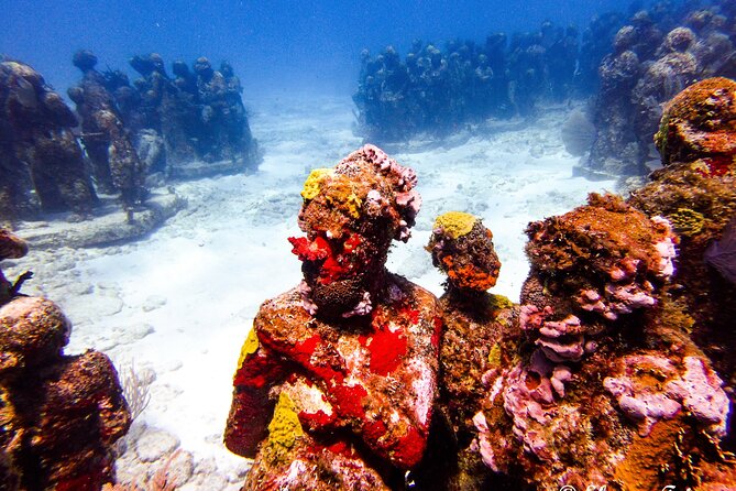 MUSA Museum and Colorful Reef 2 Tank Dive-Certified Divers - Who should book this, and who might skip it