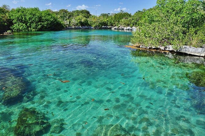 Natural Reserve of Sian Ka'an Tour ! - Lunch Included: A Simple Meal That Keeps Your Day Moving