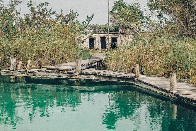 Natural Reserve of Sian Ka'an Tour ! - Wildlife Expectations: Dolphins, Turtles, and the Realities