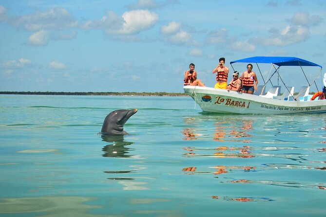 Natural Reserve of Sian Ka'an Tour ! - Getting There at 6:30 am: Pickup Details You Should Read