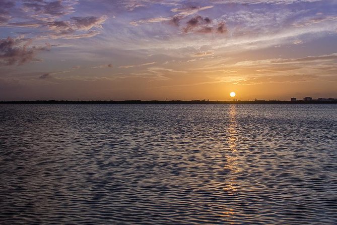 Nichupte Lagoon Wildlife Tour - Who this tour suits best (and who might want a different plan)
