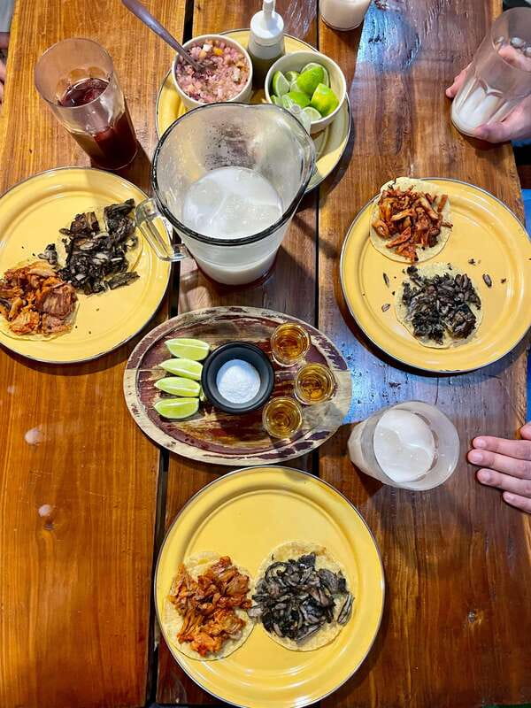 Night Tacos & Marquesitas With a Cancún Native - Food Value: Is $49 Worth It for Six Tacos and Dessert?