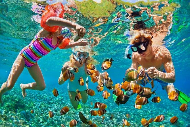 Nizuc Reef Snorkel Experience - Setting sail from Aquaworld, Cancun’s easy-to-find marina