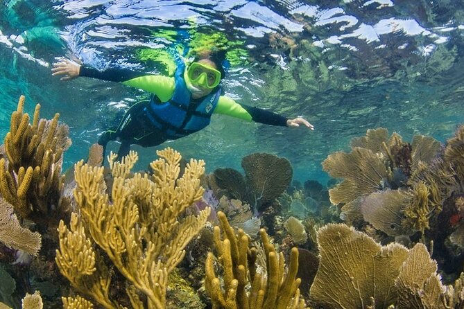 Nizuc Reef Snorkel Experience - Price breakdown and value: what $59 really buys you