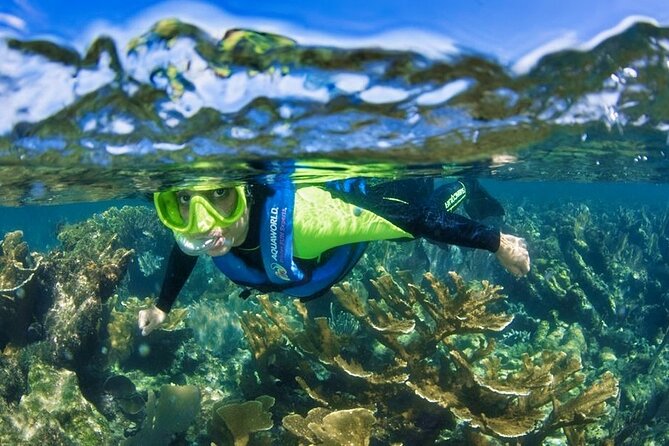 Nizuc Reef Snorkel Experience - Cruising the Nichupte Lagoon and mangrove channels