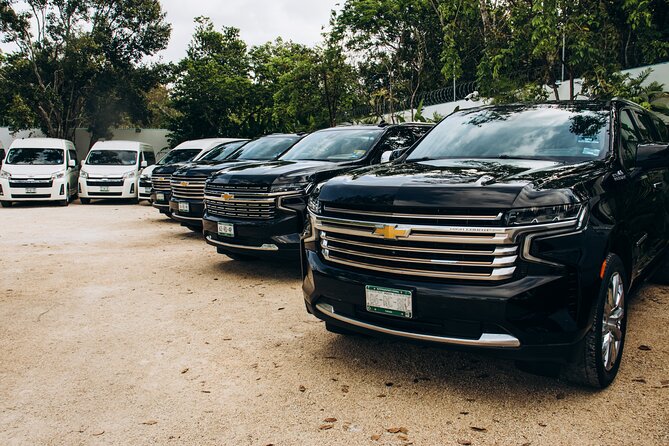 One Way Private Transfer Cancun Int Airport-Cancun Hotel Zone - Key Things to Know Before You Go