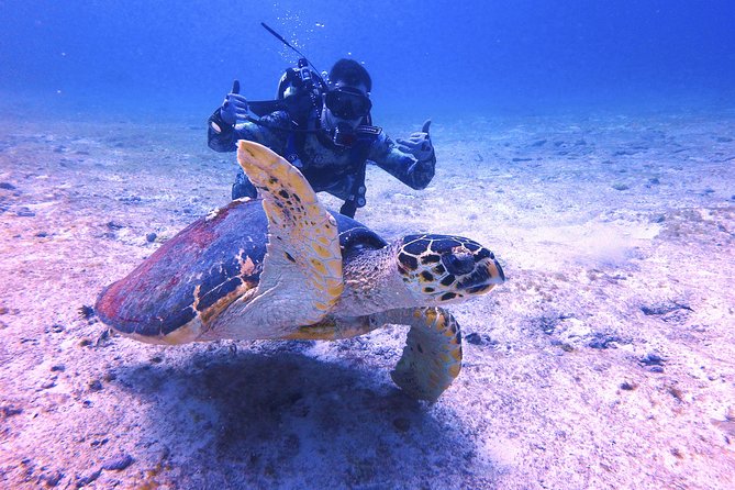 Open Water Certification Course-PADI - Day 2: boat day for your first open-water scuba outings