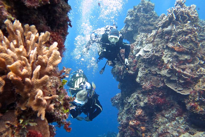 Open Water Diver course PADI in Cancun - Stop 2 at Blue Dive: boat transport and four ocean training sessions