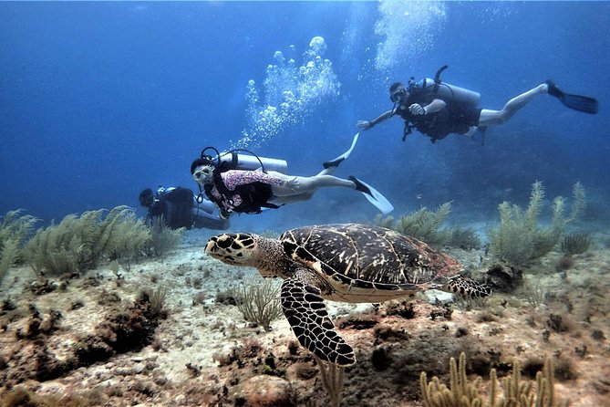Open Water Diver course PADI in Cancun - Certification payoff: what 18 meters means for your future plans