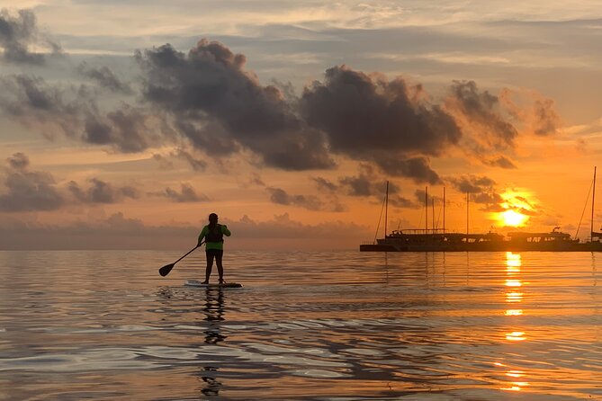 Paddle Board at Sunrise or Sunset in Cancun - Mangroves and wildlife sightings, without the long lecture