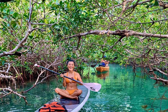 Paddleboard Kayak Tour in Cancun - SUP versus kayak: match your comfort to the experience