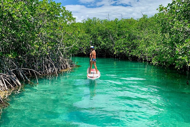 Paddleboard Kayak Tour in Cancun - Small-group advantage: why capping at 12 matters