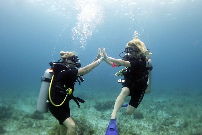 PADI Open Water Diver Course - Isla Mujeres, MUSA, and a Beginner-Friendly Open Water Path