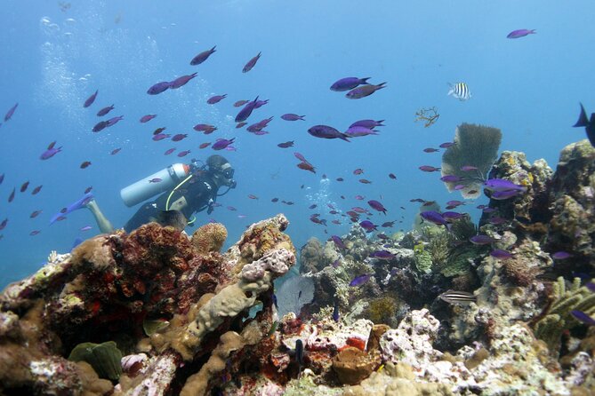 PADI Open Water Diver Course - Your Instructor, Javi: Calm Support That Helps You Work Through Challenges