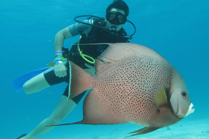 PADI Open Water Diving Certification Course Activity - Key highlights to know before you go