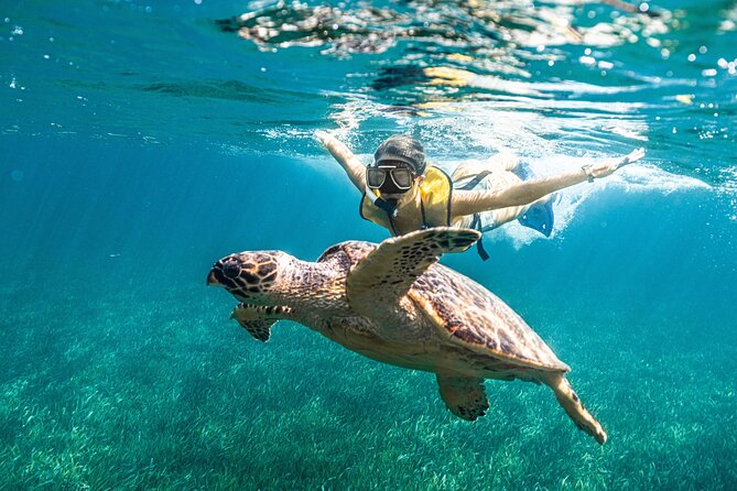 Parasailingcancun and Jet Ski tour over Cancun Bay - What You Get, What You Might Pay Extra For