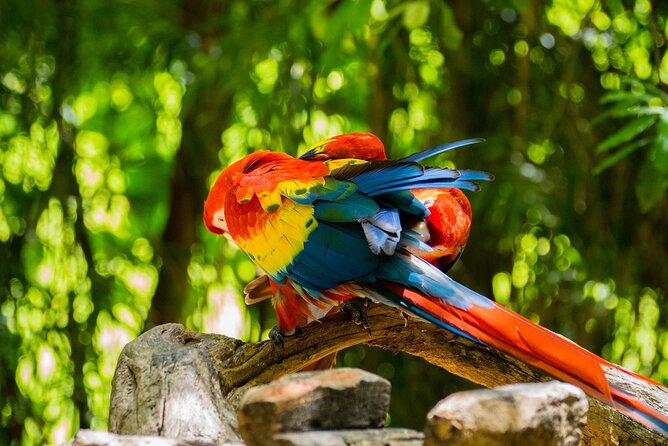 Park Xcaret Plus with Transportation from Cancun and Riviera Maya - Kids Get Their Own Water World: Children’s World Setup