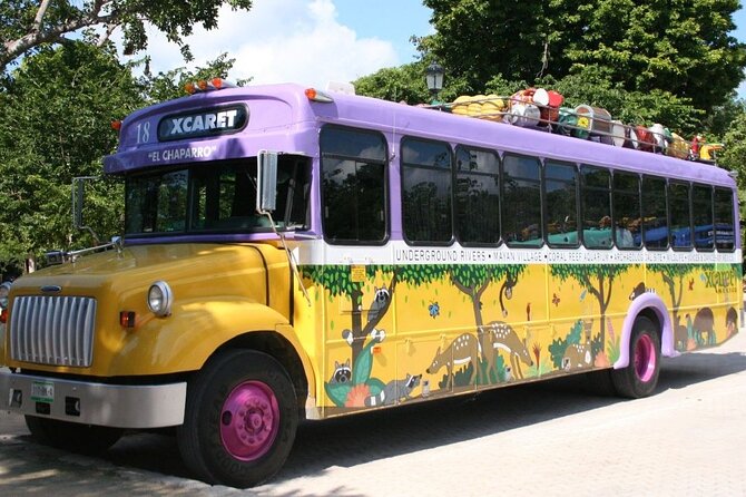 Park Xcaret Plus with Transportation from Cancun and Riviera Maya - Animals and Snorkel Gear: Planning Around the Water Details