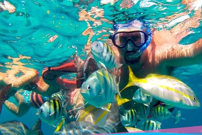Party On Sailing Cruise to Isla Mujeres from Cancun - Who This Adults-Only Cruise Is Best For