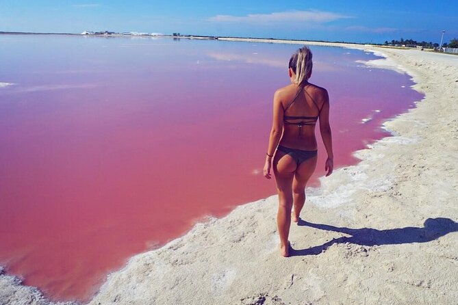 Pink Lake and Flamingo Sightseeing in Rio Lagartos - Who This Tour Fits Best (and Who Might Want to Rethink It)