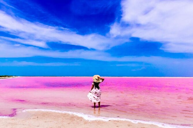 Pink Lake and Flamingo Sightseeing in Rio Lagartos - Getting to Río Lagartos: What the Biosphere Boat Ride Feels Like