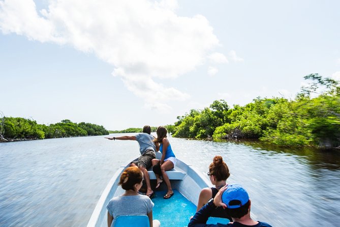 Pink Lake Tour from Las Coloradas with lunch and boat ride - Crocodile farm stop: a quick add-on that changes the vibe
