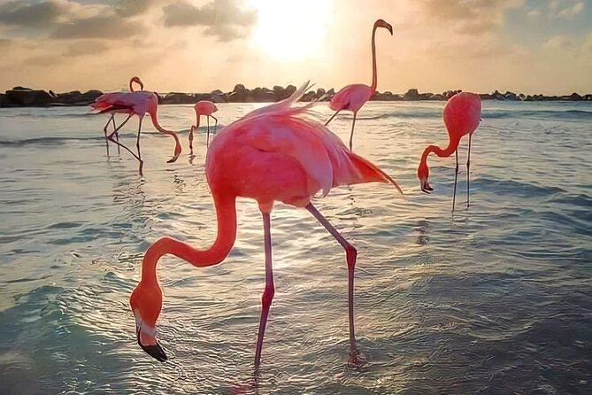 Pinktastic Lagoon Adventure Las Coloradas & Rio Lagartos from Cancun - The Big Idea: A 13-Hour Loop Through Northern Yucatán