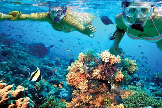 Plus Experience Isla Mujeres Tour - Unlimited Drinks, Beach Club, and the Onboard Feel