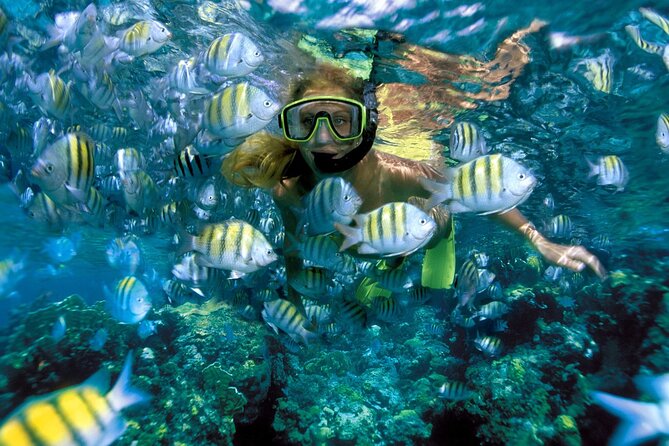 Plus Full Day Catamaran Tour to Isla Mujeres All Inclusive - Onboard vibe: open bar, lunch, and the music energy