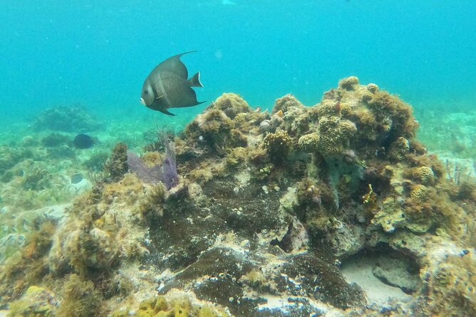 Premium Isla Mujeres Tour by Private Catamaran - The main downsides to weigh before you book