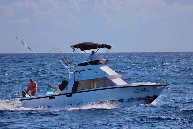 Private fishing charter Bertram 31ft 6 pax max if you don't fish you don't pay - Private Bertram 31ft Charter from Cancun Sunset Marina