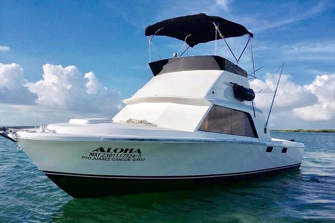 Private fishing charter Bertram 31ft 6 pax max if you don't fish you don't pay - Choose Your Hours: 2, 4, 6, or 8 and What That Buys You