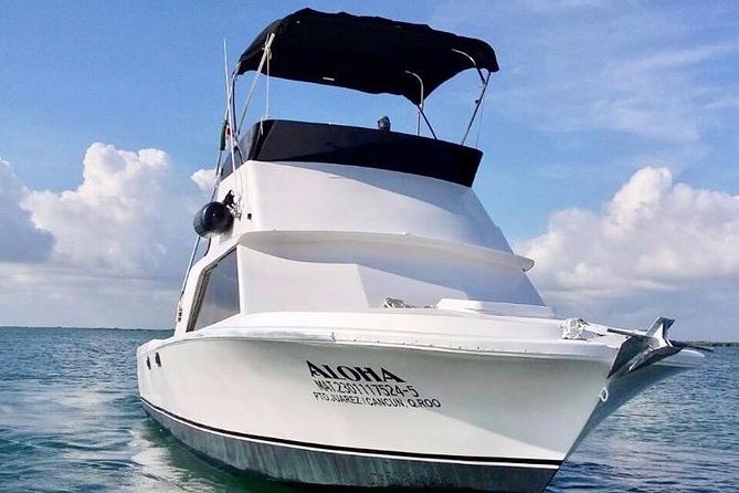 Private fishing charter Bertram 31ft 6 pax max if you don't fish you don't pay - Money Notes: Licenses, Dock Fee, and the If You Don’t Fish Idea