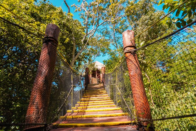 Private Jungle Adventure tour: Zipline + Rappel + Cenote - Flying Over the Jungle Canopy: The Zipline Portion