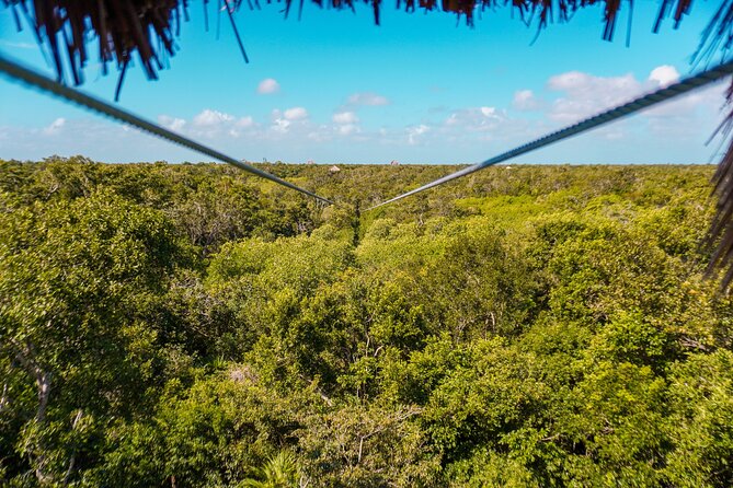 Private Jungle Adventure tour: Zipline + Rappel + Cenote - Snorkeling and Swimming in Cenote Water, What You’ll See
