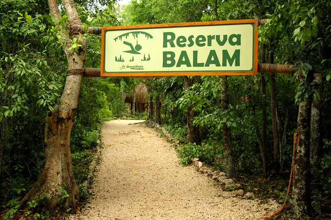 Private Jungle Adventure tour: Zipline + Rappel + Cenote - Paola’s Guide Style and the Why Behind the Cenote