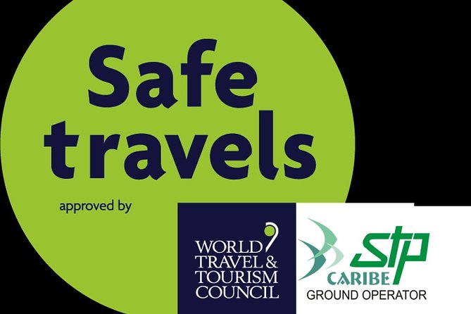 Private Minibus Transfers from Cancun Airport - Who This Transfer Is Best For (and Who Might Want Something Else)