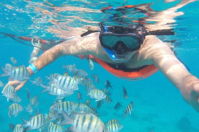 Private MUSA Snorkeling Experience at Isla Mujeres and Cancun - Private MUSA Snorkeling on Isla Mujeres, What Makes It Worth It
