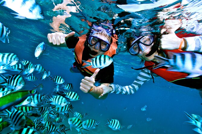 Private MUSA Snorkeling Experience at Isla Mujeres and Cancun - Cancun Hotel Pickup and the Small-Group Advantage