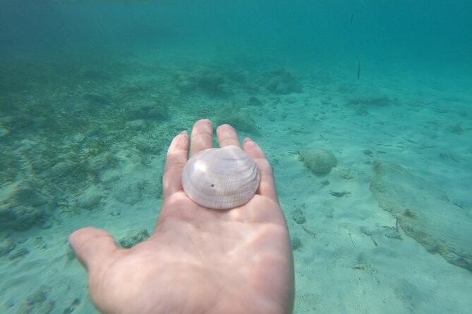 Private MUSA Snorkeling Experience at Isla Mujeres and Cancun - Snorkel Gear, Boat Comfort, and What to Bring