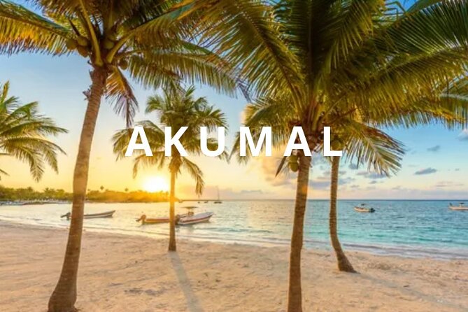 Private one-way airport transfer from Cancun - Akumal. - Key highlights worth knowing