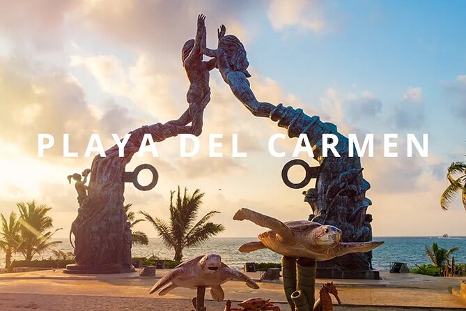Private one-way transfer Airport - Playa del Carmen. - Key Points That Matter for This Transfer