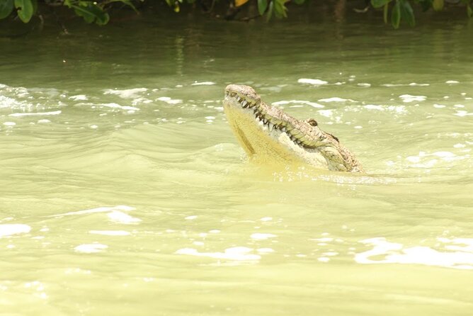 Private Rio Lagartos Flamingo and pink lakes - Your Guide on the Water: Conservation Talk That Makes the Scenery Make Sense